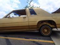 1981 Ford Escort