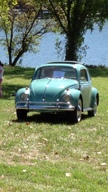 1965 Volkswagen Beetle