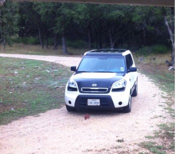 2010 Kia Soul