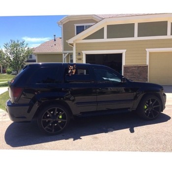 2009 Jeep Cherokee