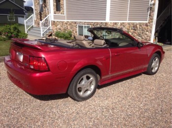 2000 Ford Mustang