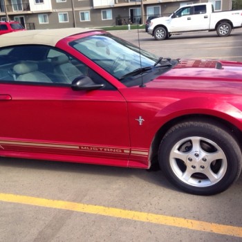 2000 Ford Mustang