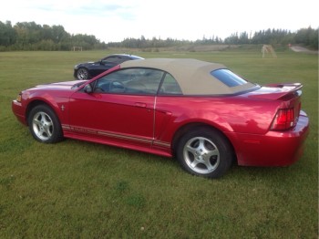 2000 Ford Mustang