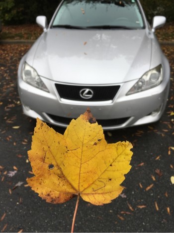 2007 Lexus IS350