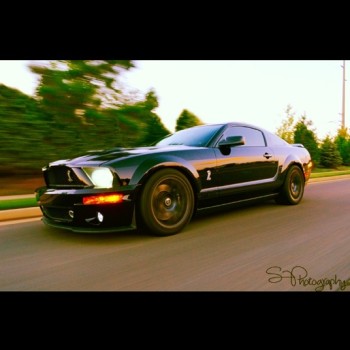 2008 Ford Mustang