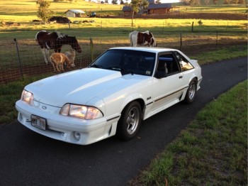 1988 Ford Mustang