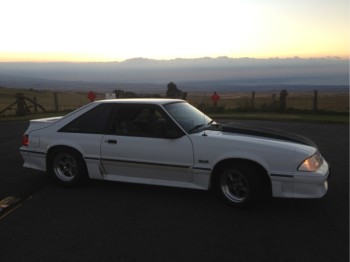 1988 Ford Mustang