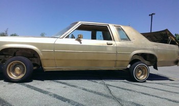1981 Ford Escort
