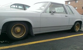 1981 Ford Escort