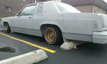 1981 Ford Escort