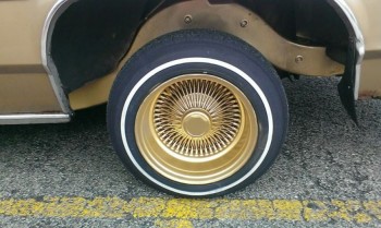 1981 Ford Escort