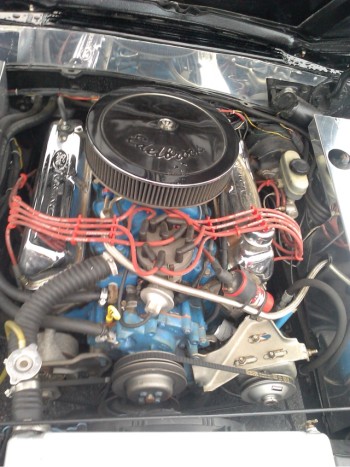 1979 Ford Mustang