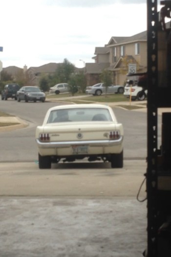 1965 Ford Mustang