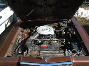 1980 Ford Thunderbird