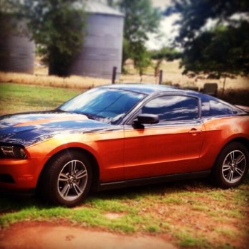 2010 Ford Mustang